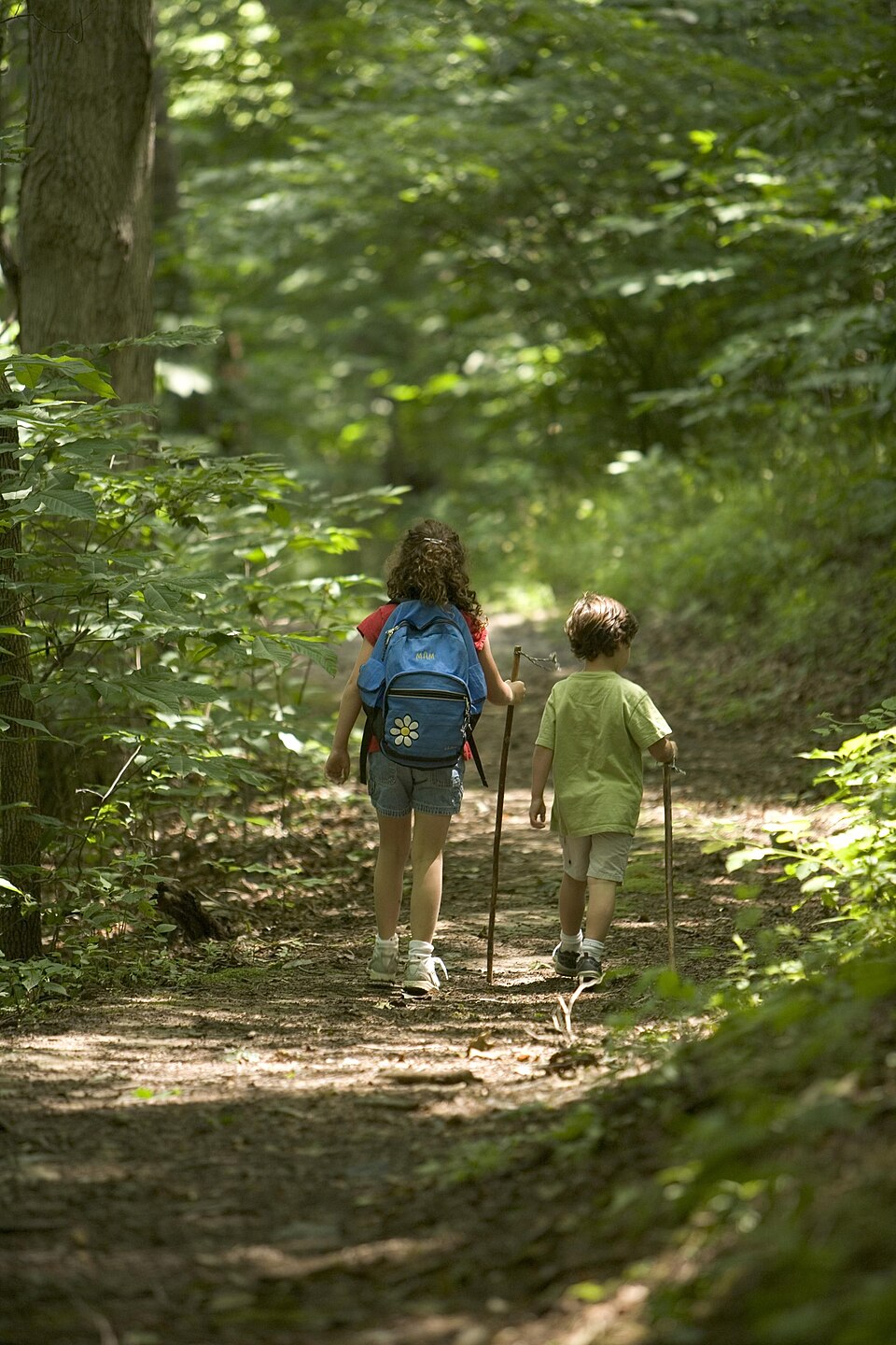 Deux enfants en randonnée en forêt avec sac à dos et bâtons